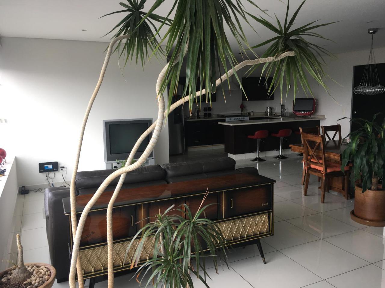 Napoles Condo Suites Meksika Dış mekan fotoğraf